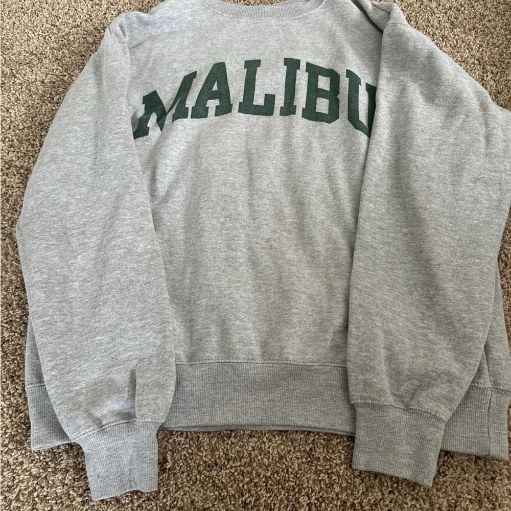 Brandy Melville Gray Crewneck with Green Malibu Print One Size